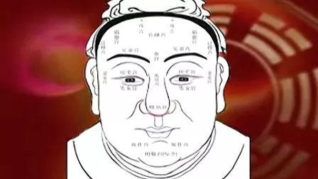 一、 整体面部特征：均衡和谐与内在蕴藏