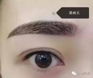 二、  关于“心狠”论调的理性审视与科学证伪