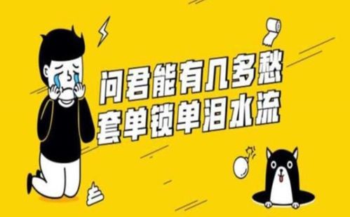 1. “从不”的时间段维度延伸