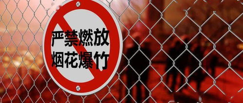 2. 禁止行为的潜在风险因素评估
