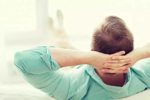 一、 解剖学视角下的“马眼”概念界定