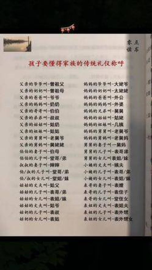 家族族谱的重要性 (突然转折)