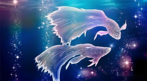 金牛座：倔驴的爱情