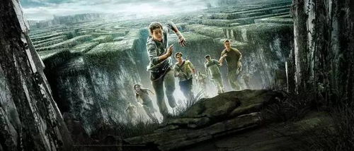 应对突发状况: 灵活变通