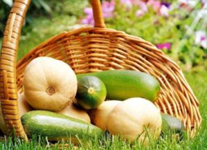 一、  西瓜：天然白虎汤与水液代谢的调节