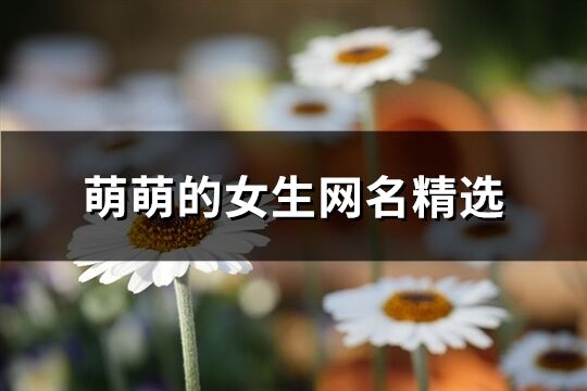 不同风格的二字女网名推荐