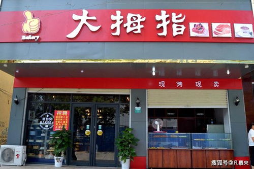 4. 兼具现代化感与全球化色彩的崭新潮系列