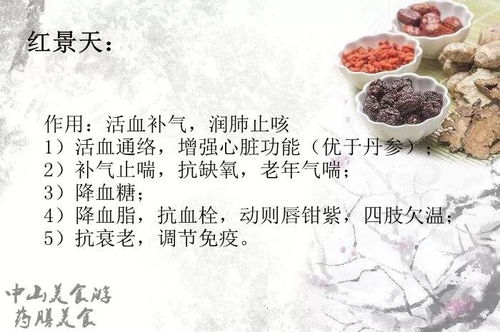 二、 进补药膳的配方体系