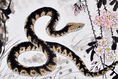 2026年属蛇的人会有哪些吉凶，最佳时间是什么时候？