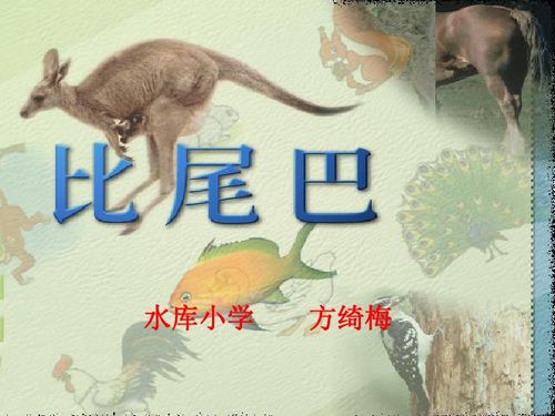 将朽木粪土打一生肖，是哪个生肖尾巴长？