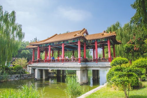 震惊！南翠屏公园居然藏着这种惊天秘密！2026年去的人要小心了！