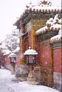 北京故宫一下雪就变成了紫禁城