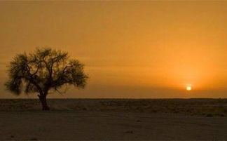 命运与八字不同的人，他们的命运真的只受八字左右吗？