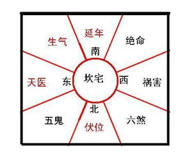 （一） 东方：生气之源与头部智慧的对应