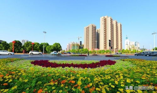 二、 较大通湖必看景点（但别被套路骗）