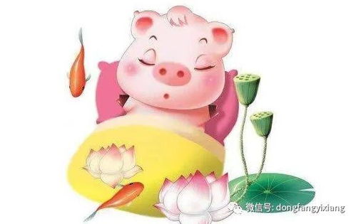 三月二十三日猪的运势具体如何？