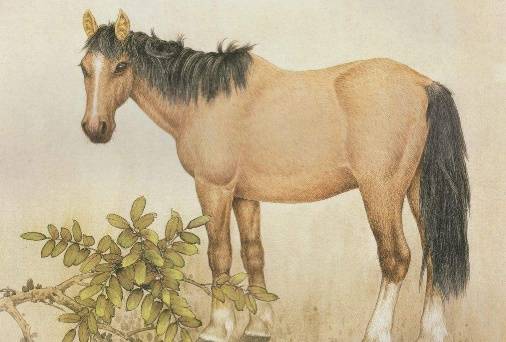 起名前的准备：八字五行那些事儿