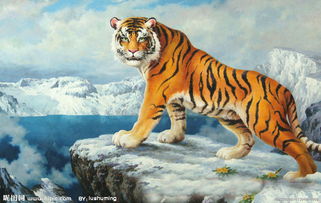 中年人出生在哪个生肖？生肖住在皇宫里对应哪个生肖，这是什么意思？