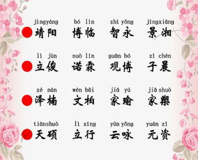 2026猪年男孩取名大全文雅，有没有什么好建议？