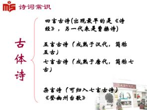 ：天人合一的哲学基石