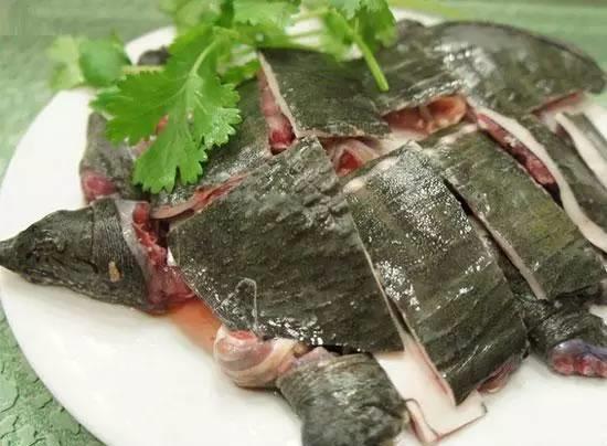 取卵后更多久能够食用甲鱼？其营养成分实际价值及可靠性怎样？