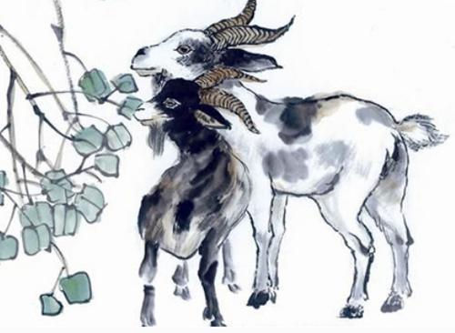 未羊运势逆转之深层解析：五行周期与命理转机的系统性研究