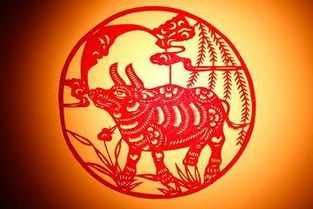 属牛的公司起名，有哪些字适合属牛人注册公司？