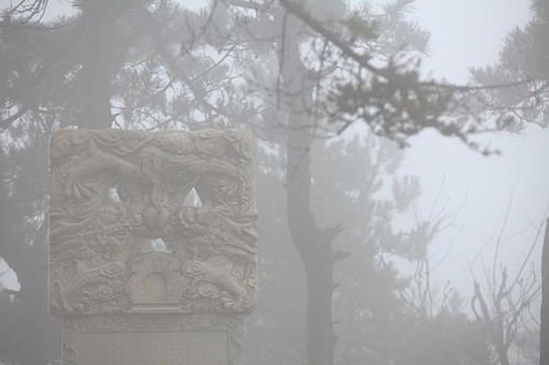 一、  较大理自在禅修中心：功能整合与生活美学的范式
