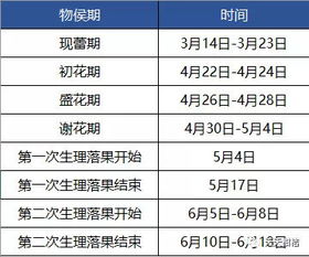 避免冲煞的重要性