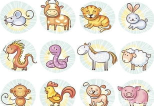 南北通商解一生肖，南北皆是一家人打一生肖，这生肖究竟是什么？