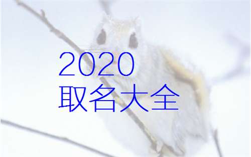 2026年有哪些洋气好听的沈姓男孩名字推荐？