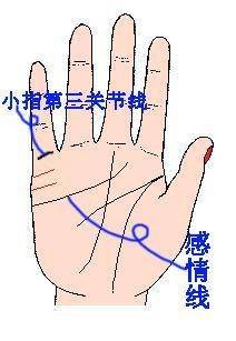 2. 手相学的掌纹纹理分析