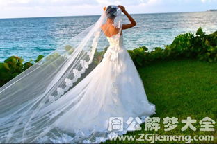 一、 洁白婚纱在梦境中的象征内涵