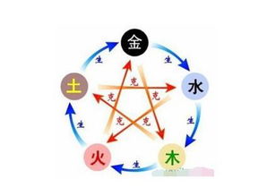 五行之乱：儒字到底是木还是…