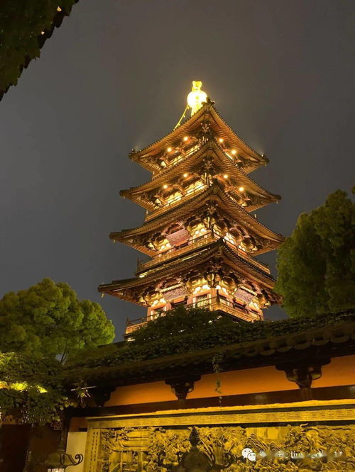 真相大白