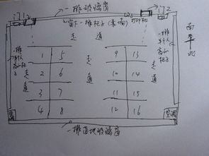 ：2020年属鼠人职场环境风水布局的宏观审视