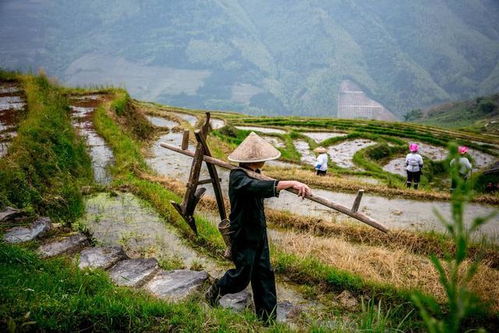 阴谋与牺牲：翁氏的选择与命运