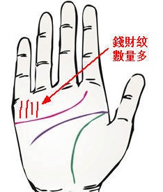 软硬度对财富倾向的影响