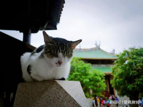 第二章：寺庙里的尴尬生活