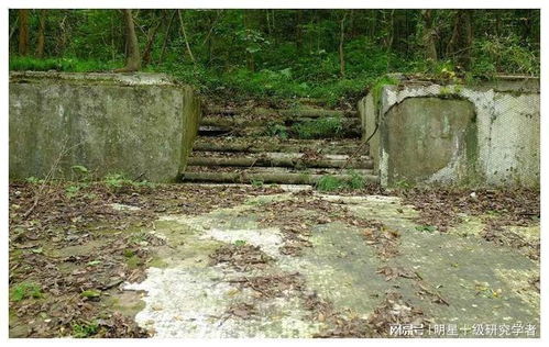 一、 紫金山的地理与风水属性