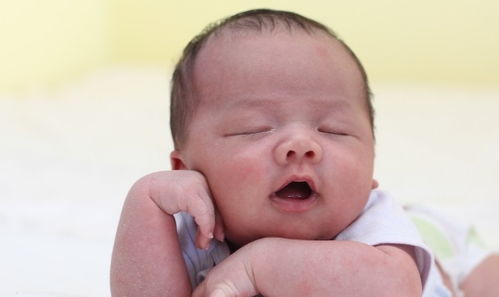 2026年哪个月出生的孩子更容易是女孩？