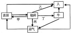 1. 门窗相对导致气流直冲之机制解析