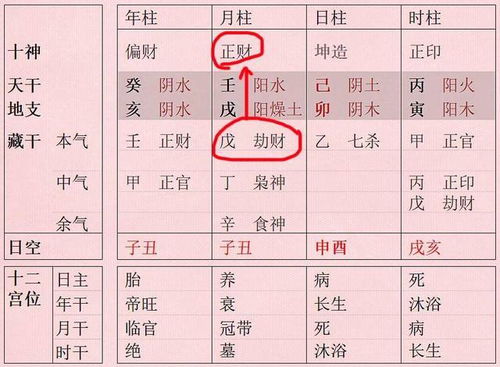 （二）具体表现形式及其潜在风险