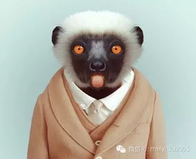 衣冠禽兽的生肖是什么？衣冠禽兽打一精准生肖指的是什么生肖？