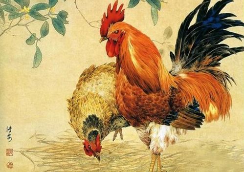 2026年属鸡的吉日选畜禽最佳时间是什么？