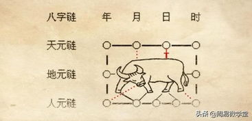 盲人如何通过八字预测命运？