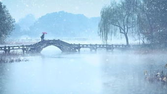 断桥残雪， 炎热爱成鬼影：一则生肖星座或风水类国学原创文章