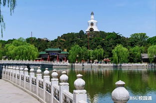 震惊！北海公园隐藏的省钱绝招大曝光