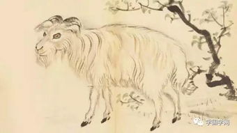 啊！诗经和十二生肖竟然有这种关系？震惊！