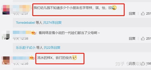 在今年诞生的Ren宝宝有哪些良好的名字推荐呢？